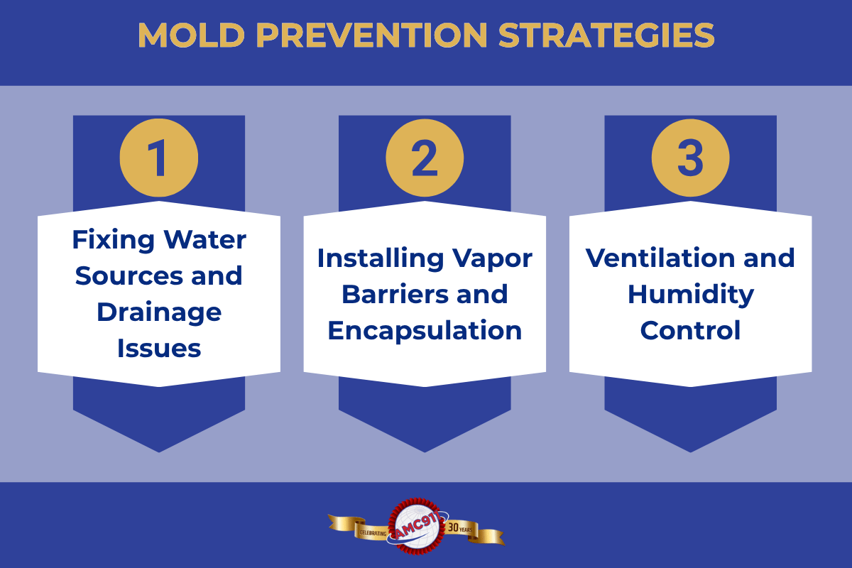 An infographic by AMC911 outlining 3 mold prevention strategies